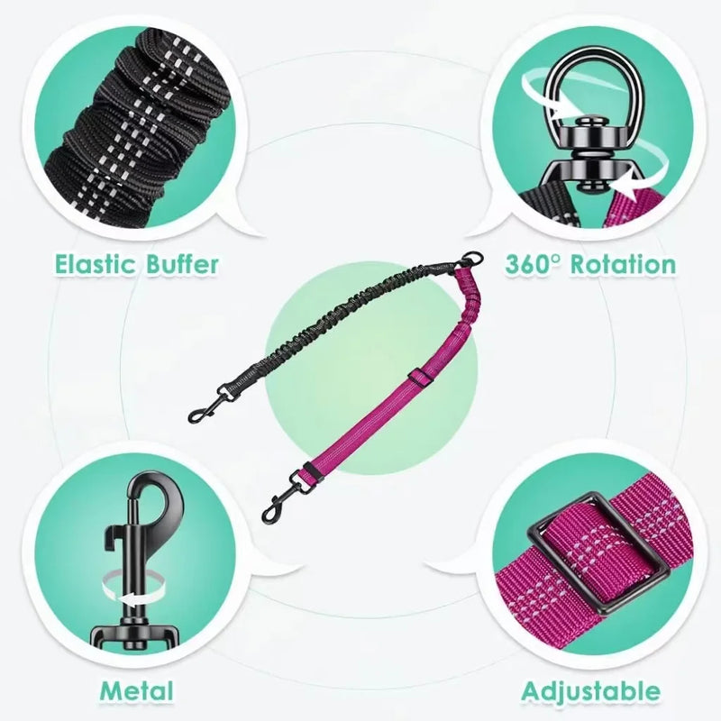 Dual Dog Leash with Shock-Absorbing Bungee
