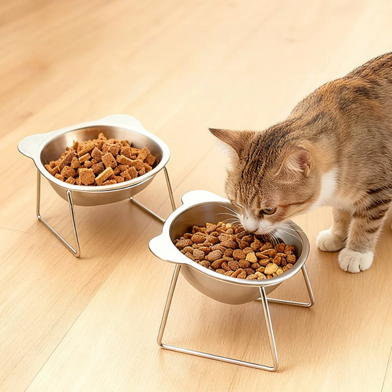 Elevated Stainless Steel Pet Bowl with Angled Feeder