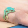 A hand wearing a turquoise green tree frog ring on the finger.