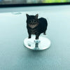 A black cat figurine is mounted on a clear acrylic base, designed as a dashboard ornament.