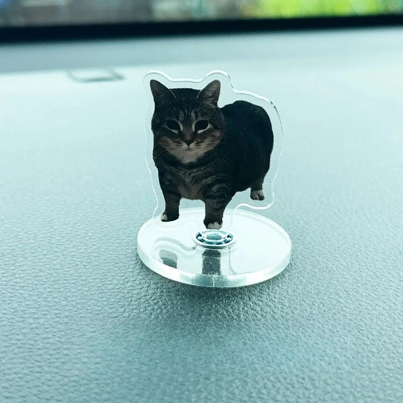 A black cat figurine is mounted on a clear acrylic base, designed as a dashboard ornament.