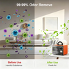 High-Capacity Ozone Air Purifier with Timer