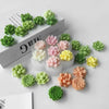 A collection of green and pink silicone succulent flower molds displayed on a white background.
