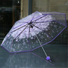 Clear Bloom Folding Umbrella with Floral Print