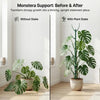 Stackable Monstera Plant Support Poles with Ties