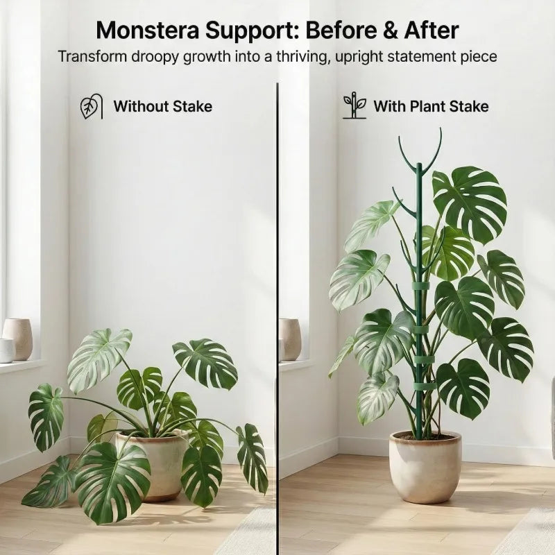 Stackable Monstera Plant Support Poles with Ties