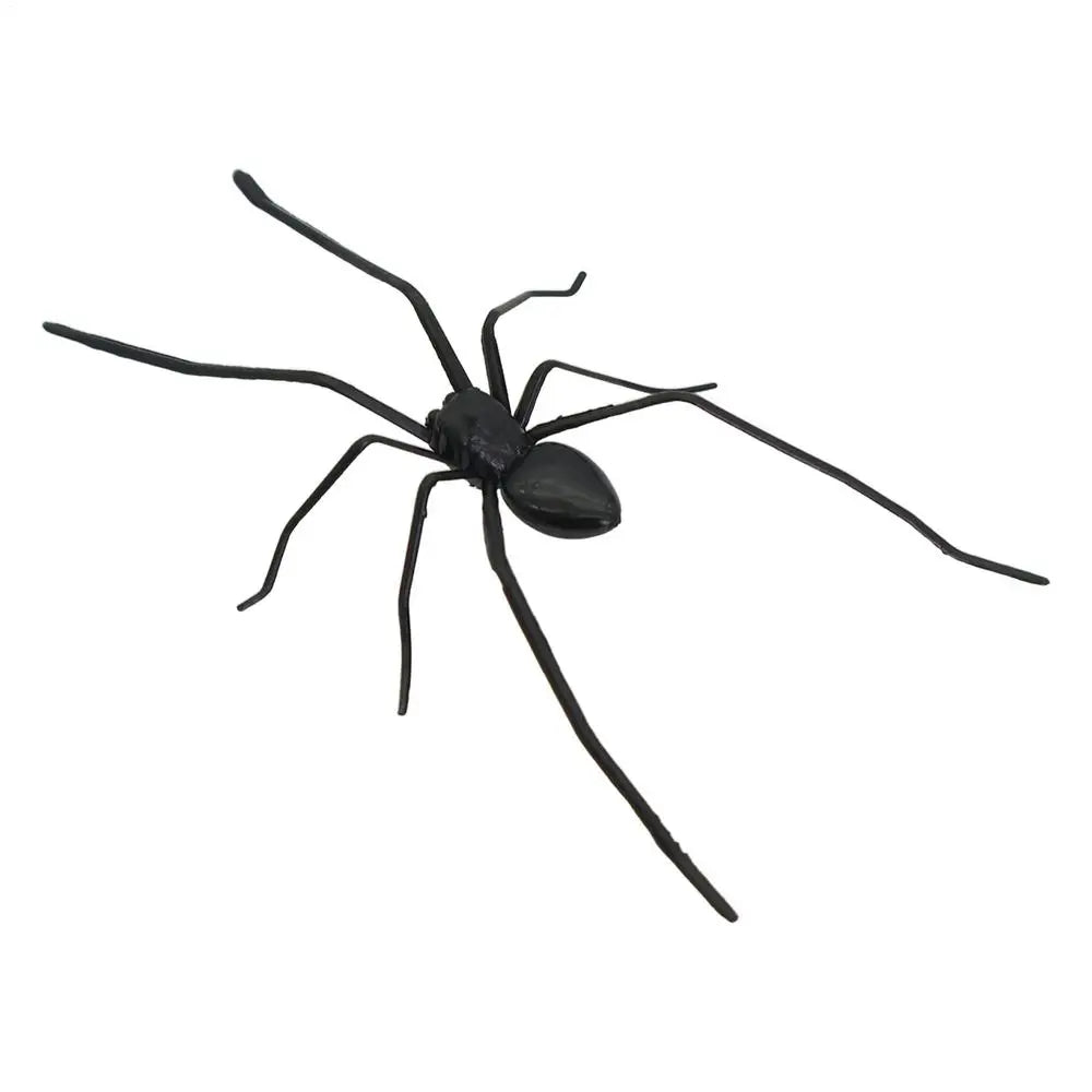 A realistic black spider used as a fridge magnet for funny prank decor.
