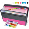 Expandable A4 Document Organizer with 13 Accordion Pockets