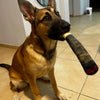 Squeaky Cigar-Shaped Plush Dog Toy