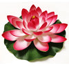 A vibrant pink lotus flower with green leaves floating on white background.