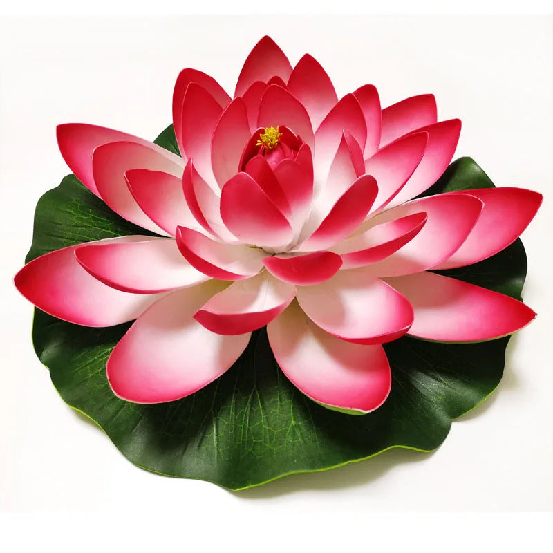 A vibrant pink lotus flower with green leaves floating on white background.