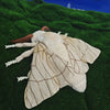 A white and brown plush toy resembling a Luna moth resting on green grass under a blue sky.