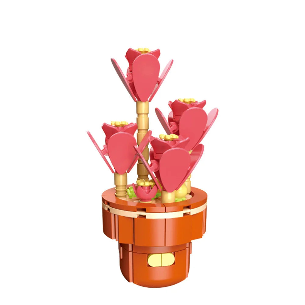 DIY Succulent Plant Building Block Bouquet