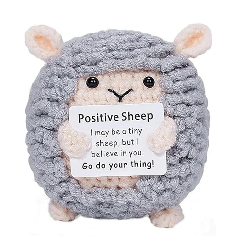 Handmade Crochet Pocket Hug Doll with Custom Message