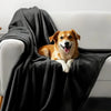 A happy, light brown dog is resting on a dark gray flannel blanket draped over a white sofa.