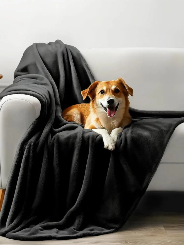 A happy, light brown dog is resting on a dark gray flannel blanket draped over a white sofa.