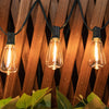 Three Edison-style solar string lights hang against a wooden lattice with green foliage below.