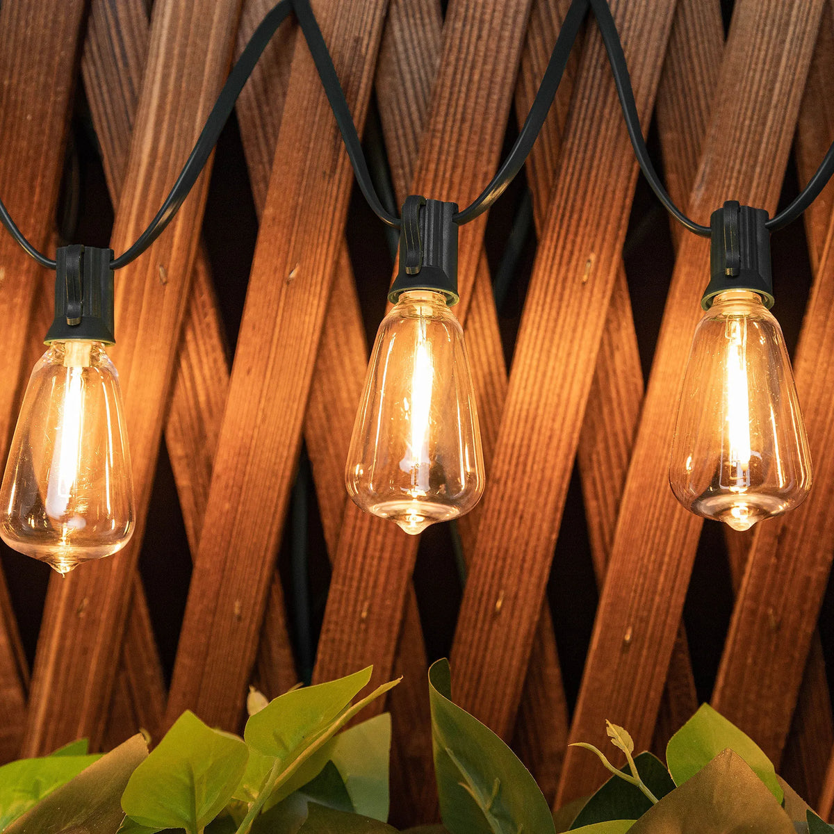 Three Edison-style solar string lights hang against a wooden lattice with green foliage below.
