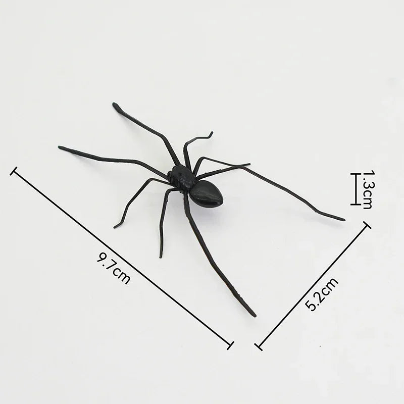 Une araignée noire réaliste avec des mesures indiquant sa taille.