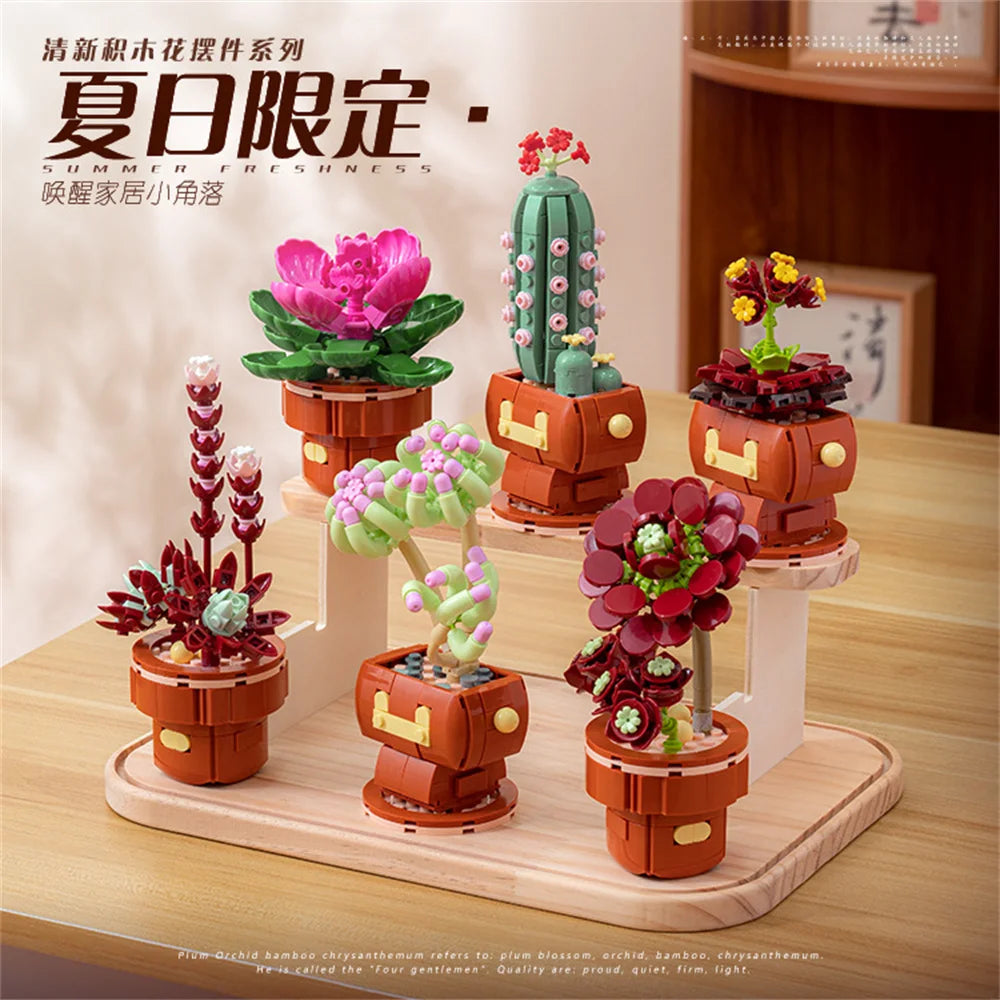 DIY Succulent Plant Building Block Bouquet