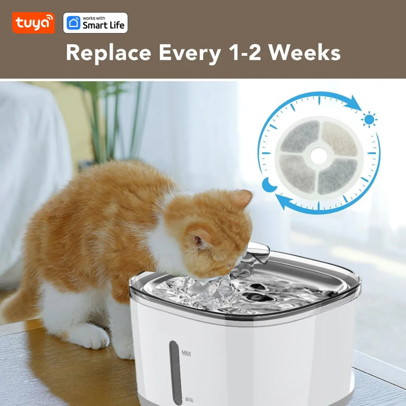 Smart Pet Water Fountain with Stainless Steel Bowl