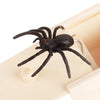 A black spider with red eyes is displayed inside a light wooden box.