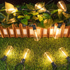 Solar string lights illuminating a green lawn and foliage at night.