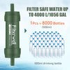 Portable Mini Water Filter Straw