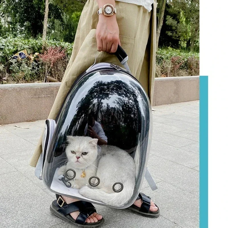 Transparent Pet Backpack Carrier with Ventilation