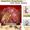 Jumping Spider Board Game