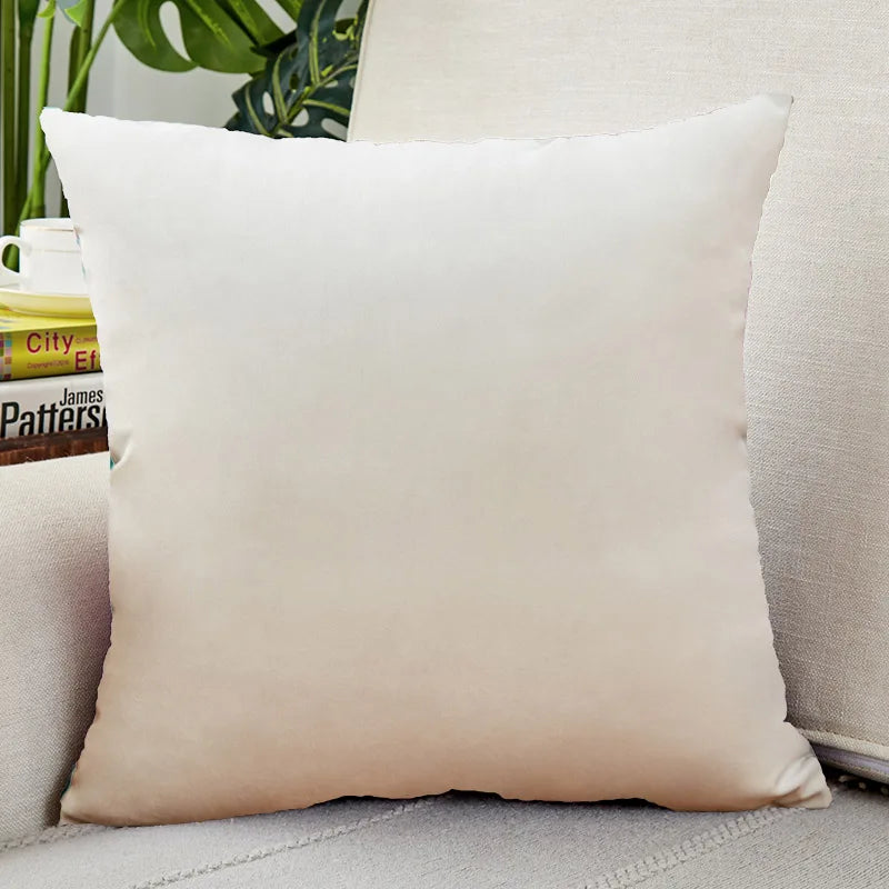 Velvet Throw Pillow Cover for Sofa and Bed Decor