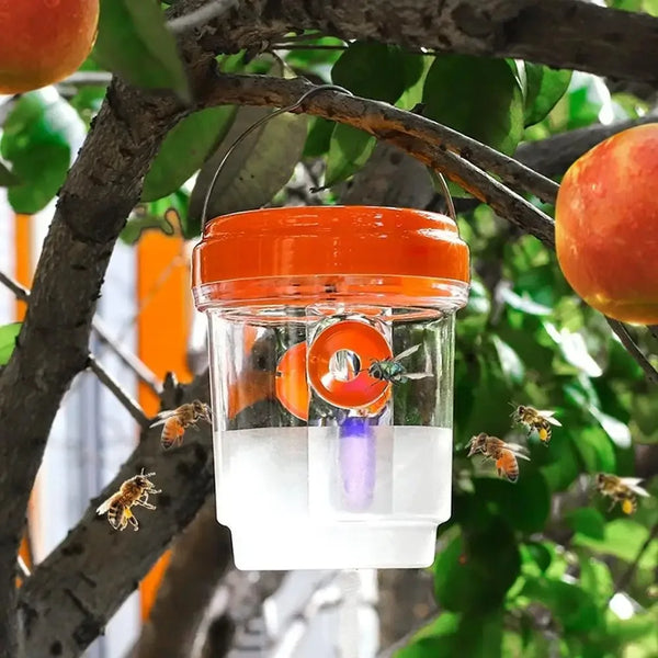 Solar-Powered Insect Trap with UV Light