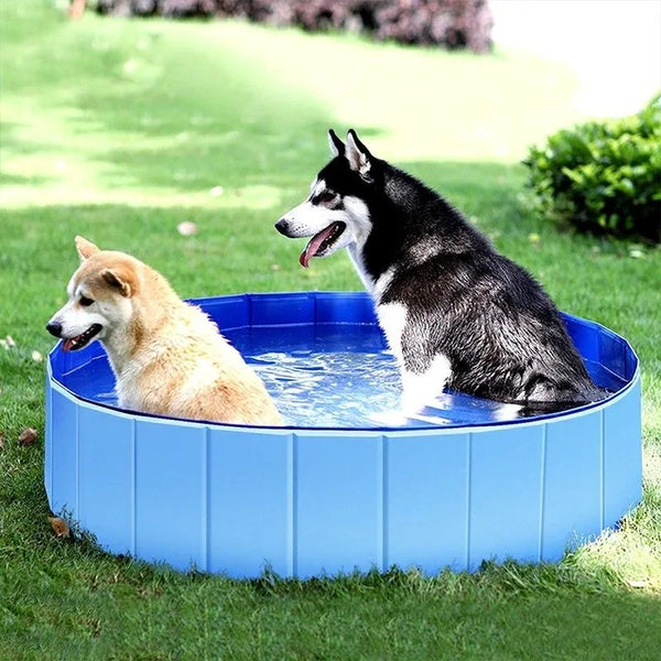 Foldable Pet Pool for Dogs & Cats