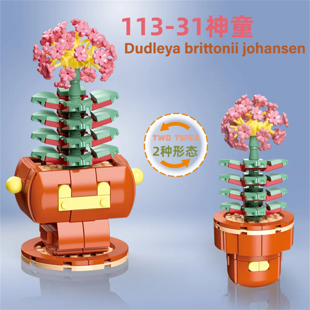 DIY Succulent Plant Building Block Bouquet