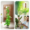 A tall plastic plant moss pole used for climbing indoor plants, shown in a home setting.