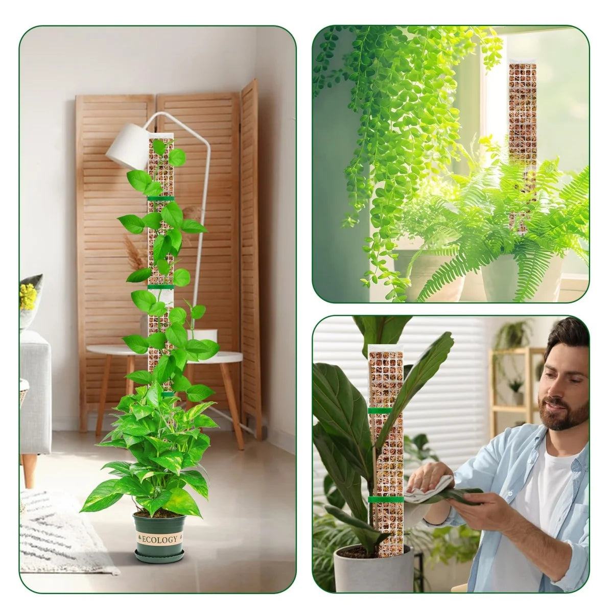 A tall plastic plant moss pole used for climbing indoor plants, shown in a home setting.