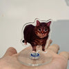 A small, dark brown tabby cat is displayed on a clear acrylic dashboard ornament.