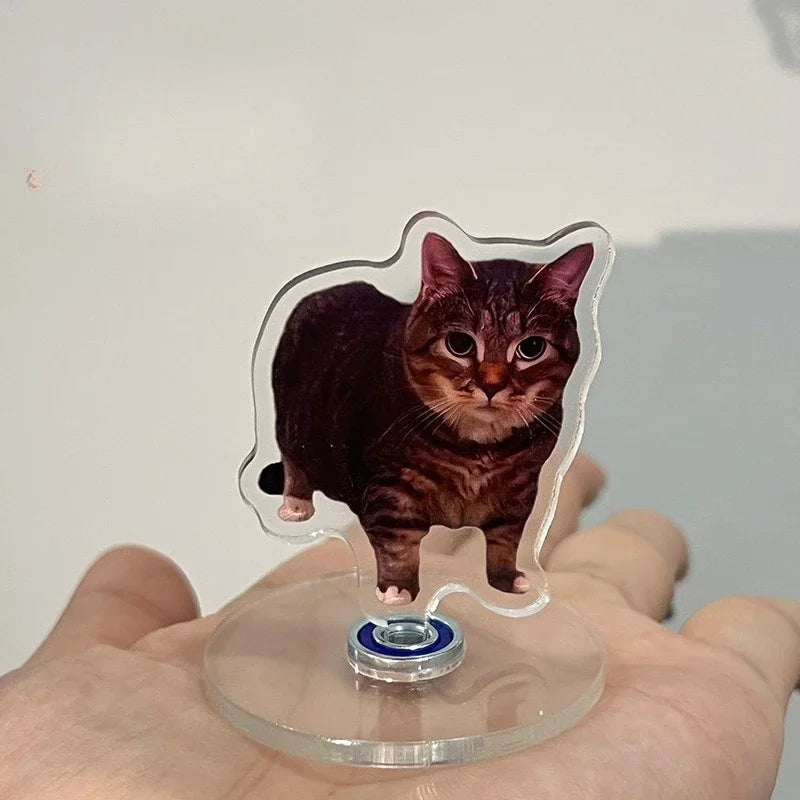 A small, dark brown tabby cat is displayed on a clear acrylic dashboard ornament.