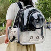 Transparent Pet Backpack Carrier with Ventilation