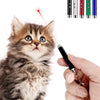 Pocket Laser Pointer & LED Flashlight Keychain