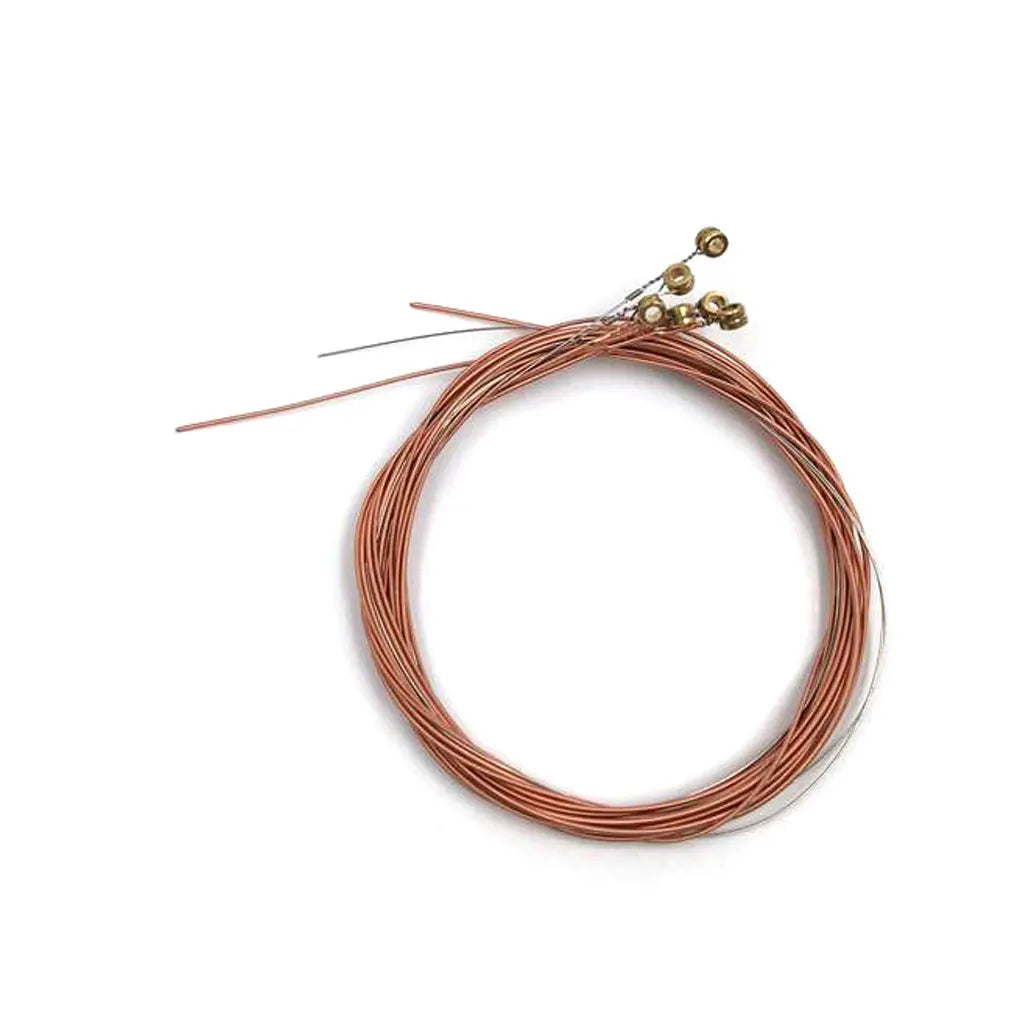 A set of six color-coded acoustic guitar strings with a gold-colored tuning peg visible.