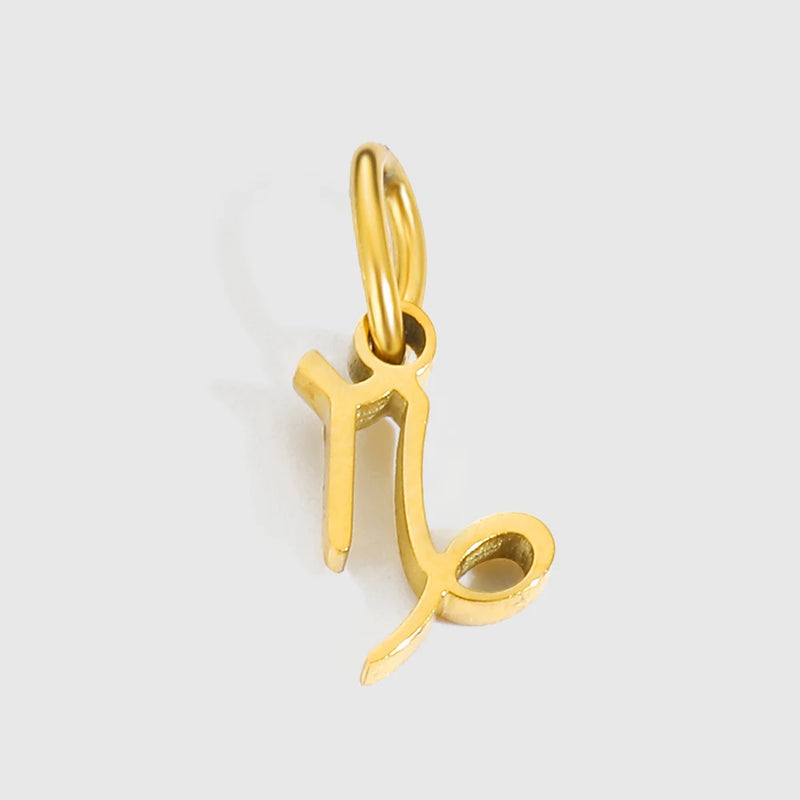 Stainless Steel Zodiac Constellation Pendant