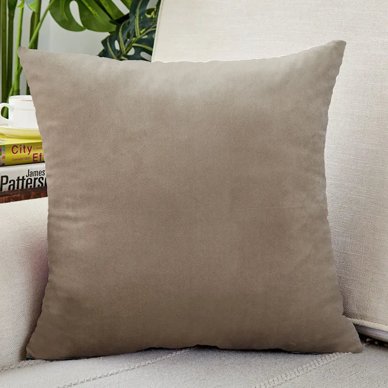 Velvet Throw Pillow Cover for Sofa and Bed Decor