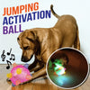 Interactive Auto-Bouncing Dog Ball with Lights & Sound