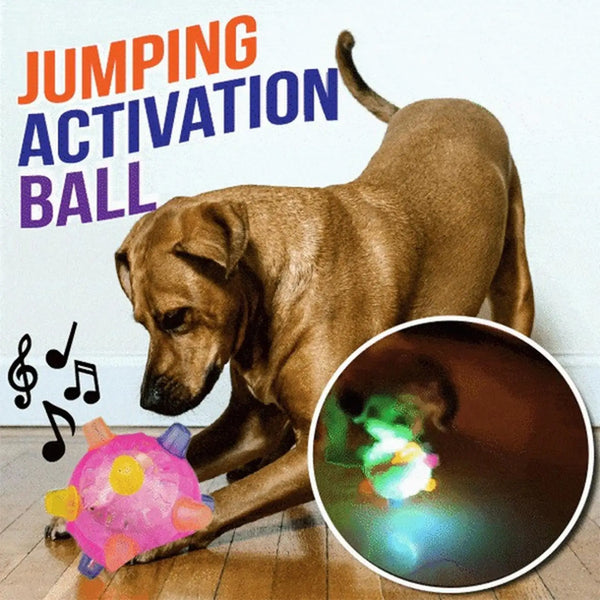 Interactive Auto-Bouncing Dog Ball with Lights & Sound