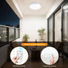 Rechargeable Motion-Sensor Ceiling Light with Remote Control