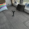 A gray carpet features a black figurine of a dancer and a light blue plush toy near a window display.