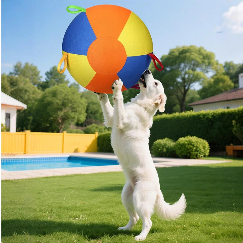 Durable Inflatable Herding Ball for Livestock & Dogs