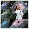 Clear Bloom Folding Umbrella with Floral Print