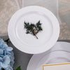 Elegant White Plastic Plates with Gold Rim